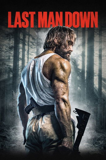 Pandemia: La guerra final (Last Man Down)